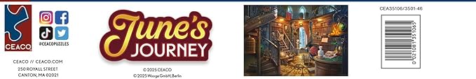 Ceaco - June's Journey - The Library - 2000 Piece Puzzle for Adults - Challenging and Perfect for Game Nights - Finished Puzzle Size 38.5 x 26.5