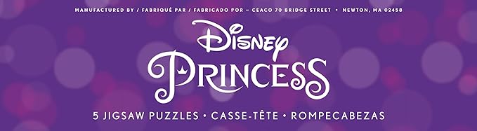 Ceaco - 5 in 1 Multipack - Disney Princess - (2) 300 Piece