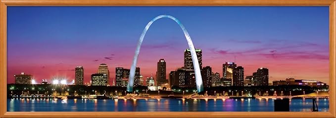 MasterPieces - 1000 Piece Jigsaw Puzzle, St. Louis Skyline Panoramic, Fun for Adults, Family, Kids 13"x39