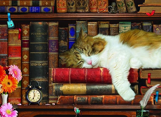 The Cat Nap