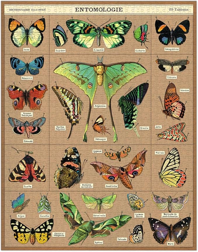 Cavallini & Co. Entomology Puzzle, 1000 Pieces
