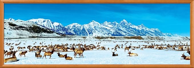 MasterPieces - 1000 Piece Jigsaw Puzzle, Elk Refuge Panoramic, Fun for Adults, Family, Kids 13"x39"