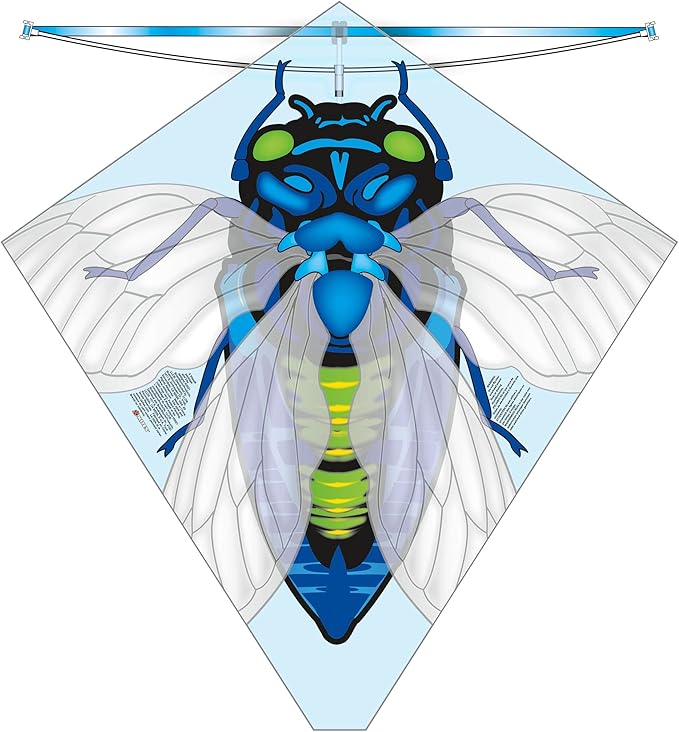 X Kites Buzz Kites® Kite Assortment Poly Kite