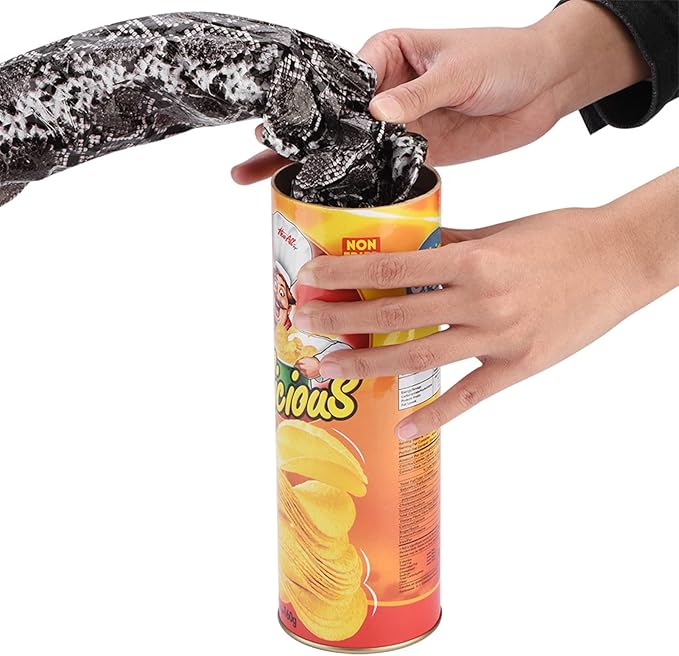 Funny Prank Gadgets Hilarious Joke Toys Spring Snake Prank Can Chip Can Packaging Shocking Pop Out Snake Trick Toy for Parties Gags