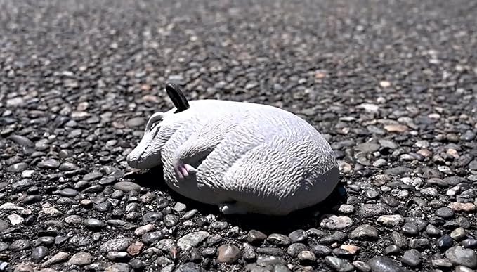 Archie McPhee Novelty Gifts Funny Splat Possum - 5-1/2" Soft Total Physical Response Splat Possum Filled with Sand - Perfect for Emotionally Charged Laughter and Fun All Year Long