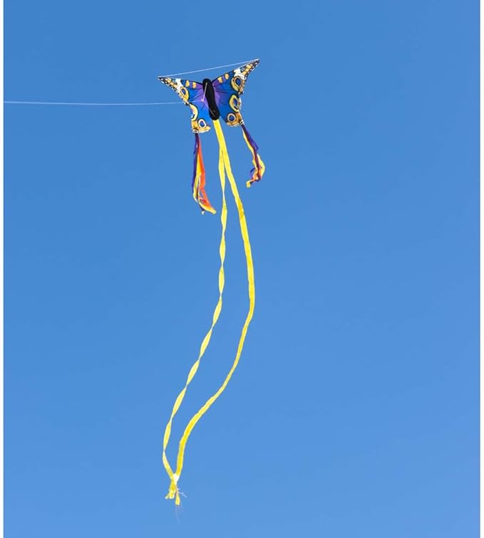 HQ Kites R Butterfly Kite 20 Inch Single Line Kite with Tail