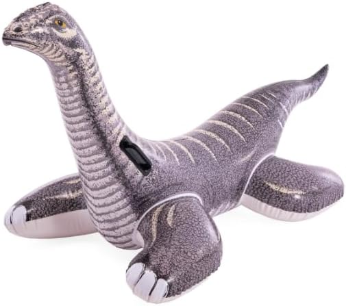 INTEX Inflatable Pool Float: Pool Toy for Kids