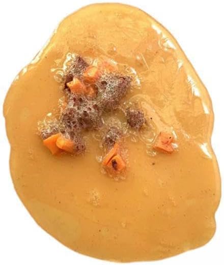 4X Fake Vomit Toys, Fake Puke Toys, Throw Up Novelty Puke for Pub Bar Halloween April Fools' Day