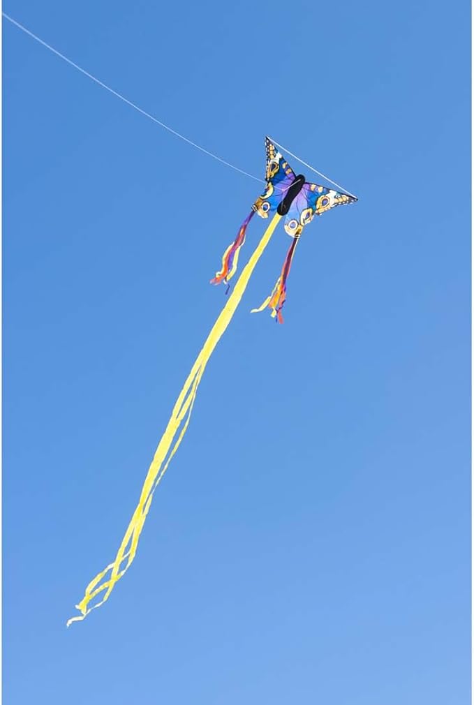 HQ Kites R Butterfly Kite 20 Inch Single Line Kite with Tail