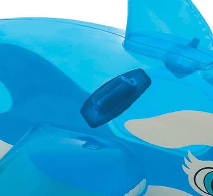 INTEX Inflatable Pool Float: Pool Toy for Kids