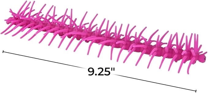 Rhode Island Novelty 9.25" Centipede Stretchy String