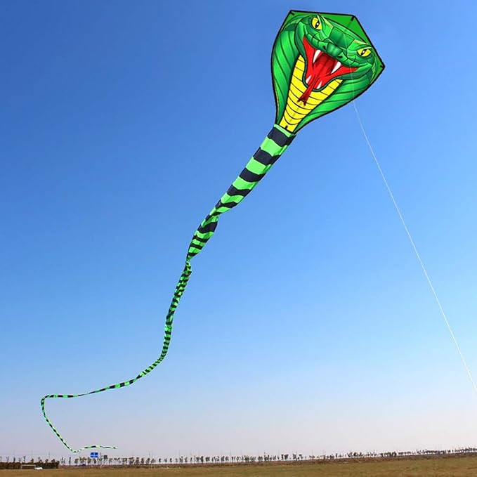HENGDA KITE Large Power Snake Kites with Flying Line Outdoor Fun Sports Kite