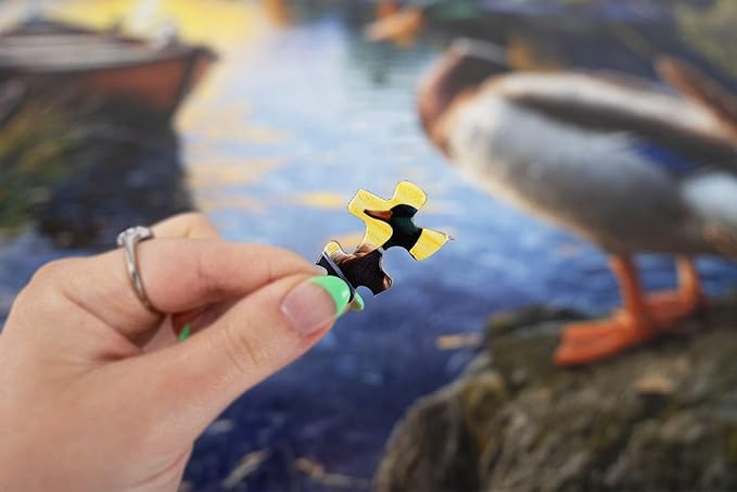 Springbok Mallard Morning Glow 1000 Piece Jigsaw Puzzle for Adults - Duck by the Lake - Unique Cut Pieces - Made in USA