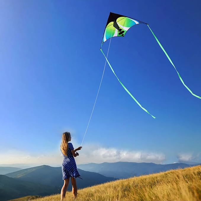 HONBO Large Delta Kite for Kids & Adults,Extremely Easy to Fly Kite for Beach Trip,String Line Included,with Colorful Tail,Perfect for Beginners