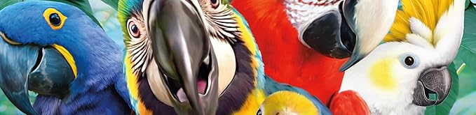 Ceaco - Selfies - Perfect Parrot - 500 Piece Jigsaw Puzzle