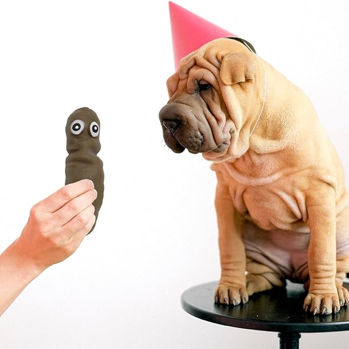 2 Pack Novelty Sensory Poo Shape Stress Relief Stretchy Fidget Toy, Brown Fool Tricky Prank Poop Joke Autism Toys & Party Favors for Kids and Adults