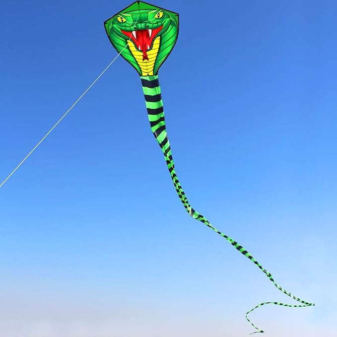 HENGDA KITE Large Power Snake Kites with Flying Line Outdoor Fun Sports Kite