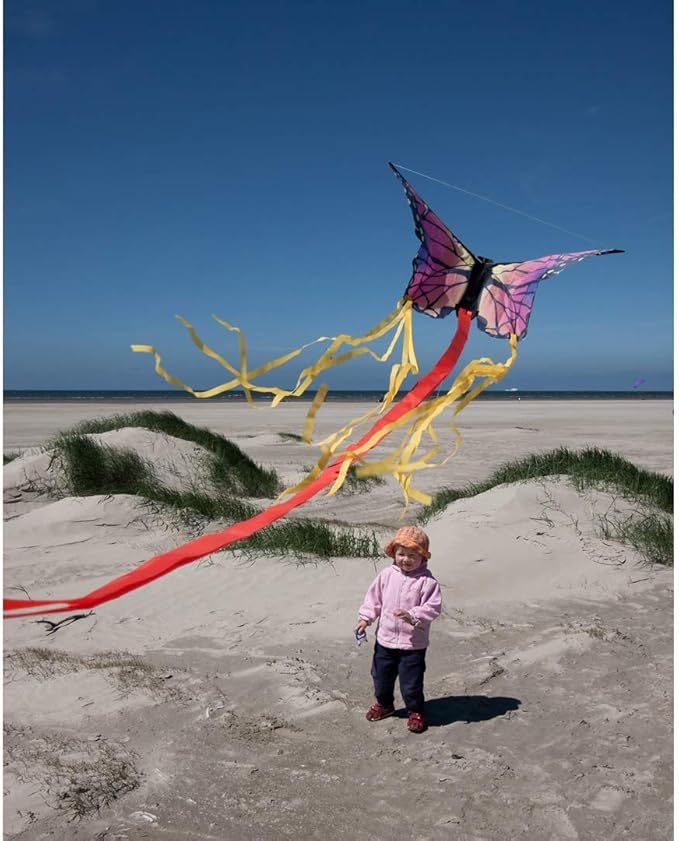 HQ Kites R Butterfly Kite 20 Inch Single Line Kite with Tail