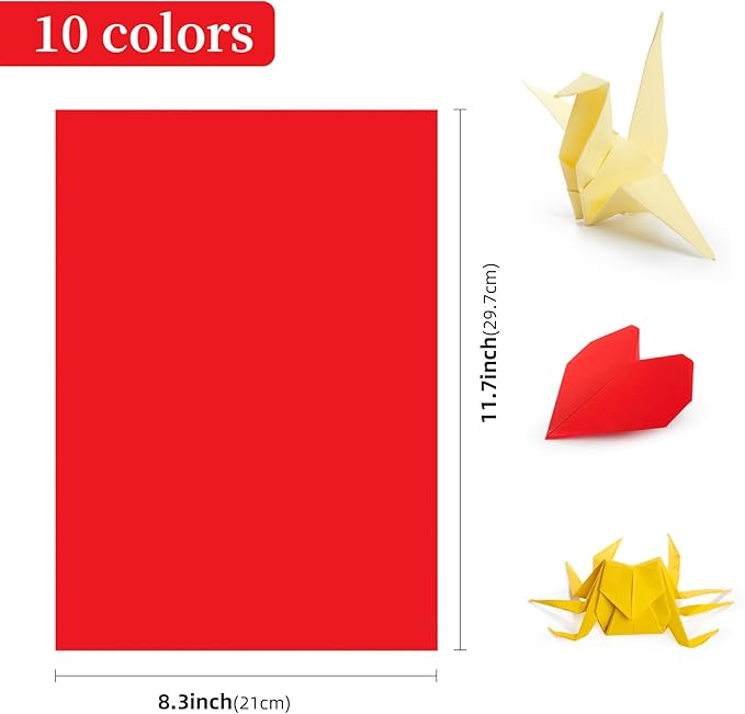 AIMI Assorted Colors Bulk for School Supplies A4 Copy Paper Construction Paper Classroom Supplies Elementary Great for Arts Painting Coloring Drawing Crafts (100)