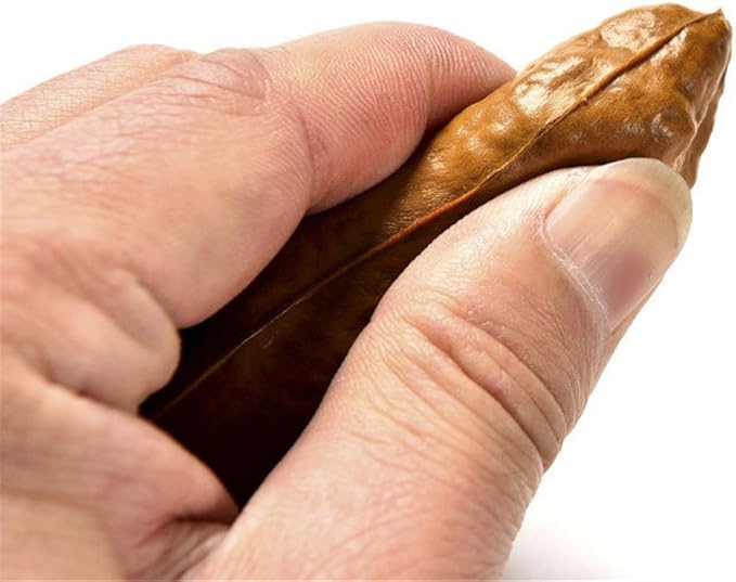 Wendy Mall 1 Pc Funny Joke Tricky Toys Mischief Turd Gag Gift Realistic Shits Poop Fake Turd Classic Shit Practical