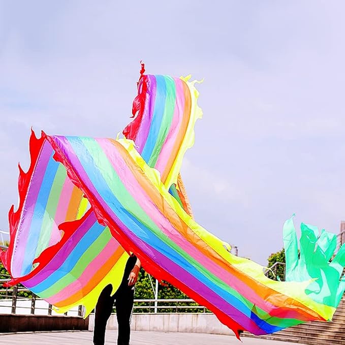 Square Exercise Dance Outdoor Flinging Fitness Dragon POI Wu Long 3D Real-Like Dragon Ribbon Streamer Set (19.6ft, Rainbow Dragon)