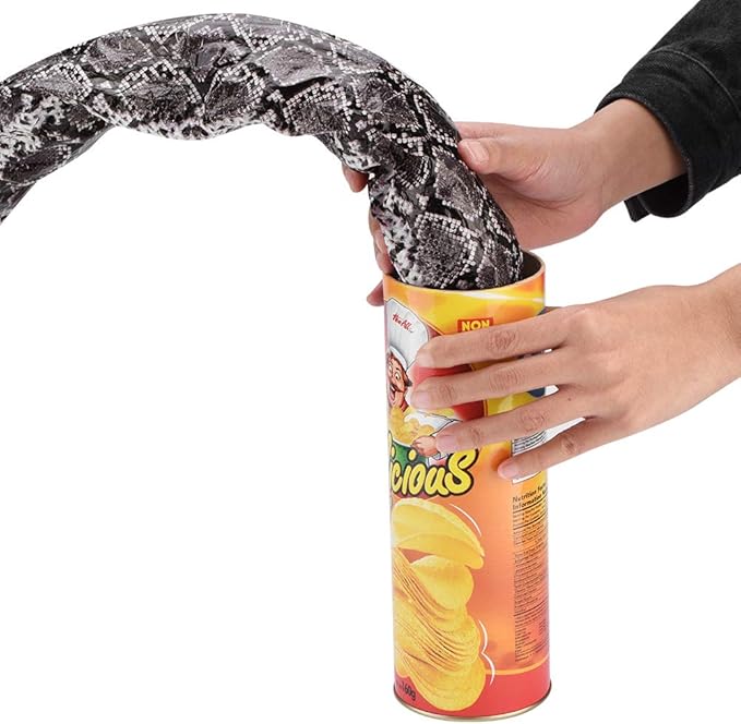 Snake in A Can Prank, Novelty Snake Trick Toy, Original Snake in A Potato Chip Can Prank, Funny Pranks Joke Jump Out for Spring Party Supplies April Fools Day and Halloween Party Decoration