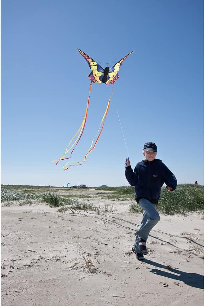 HQ Kites R Butterfly Kite 20 Inch Single Line Kite with Tail
