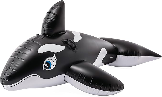 INTEX Inflatable Pool Float: Pool Toy for Kids