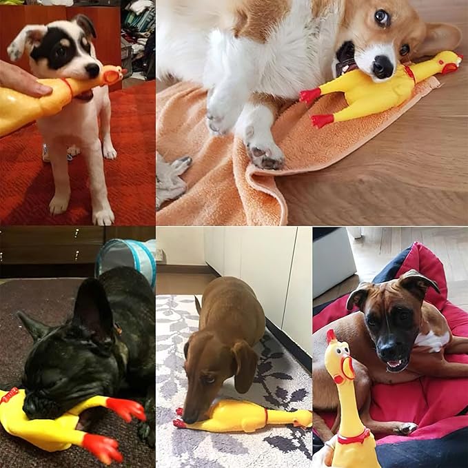 POPLAY Screaming Chicken, Squeaky Chicken Dog Toys Gag Gifts Prank Novelty Toy Party Favors for Kids Adults April Fools Pranks Easter Goodie Bag Fillers Easter Basket Stuffers