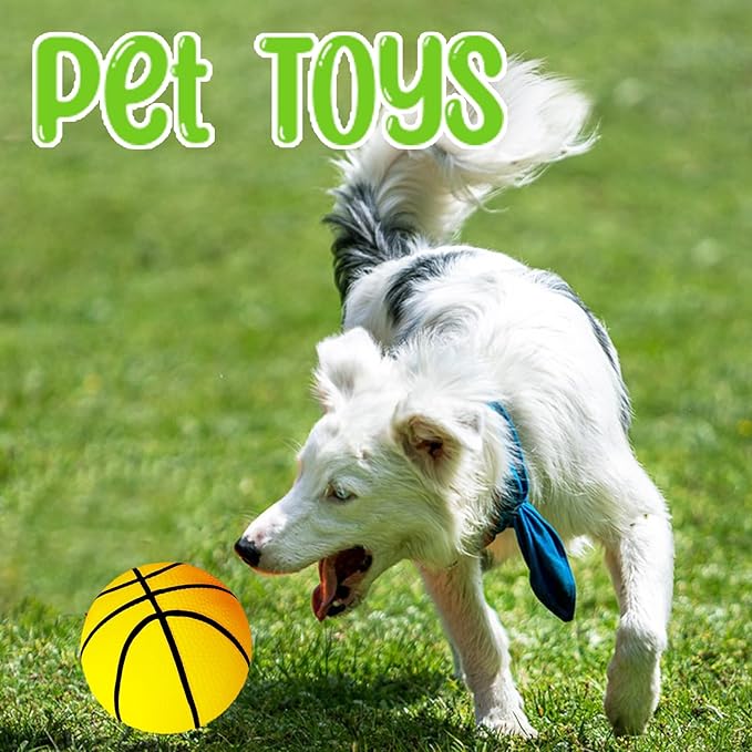 6Pcs 5Inch Mini Toy Basketballs,Colorful Rubber Inflatable Basketball with Pump for Toddlers Kids Pool,Basketball Hoop,Beach Sports Game,Party Favor Indoors Outdoors