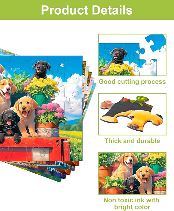 Yigney 6 Pack 48 Large Piece Jigsaw for Seniors Alzheimer Products for Elderly Dementia Activities Memory for Patients in Nursing Home with Storage Box