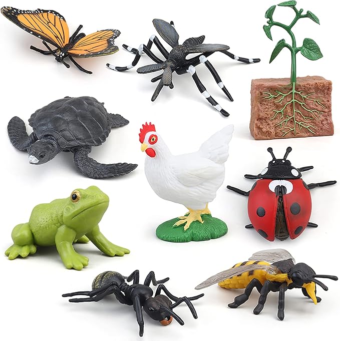 Montessori Chicken Life Cycle with Flash Cards, Realistic Animal Figurines Toy, Animal Educational Matching Game for 3+ Year Old Toddlers Kids (Cock)
