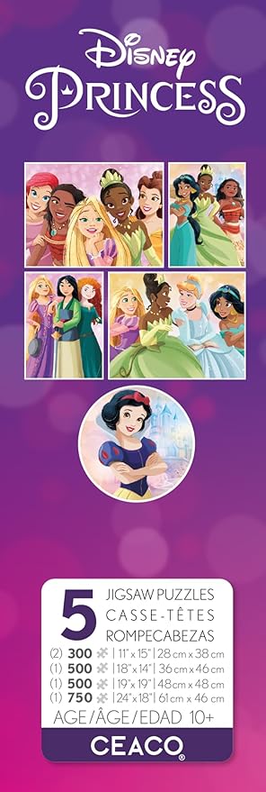 Ceaco - 5 in 1 Multipack - Disney Princess - (2) 300 Piece