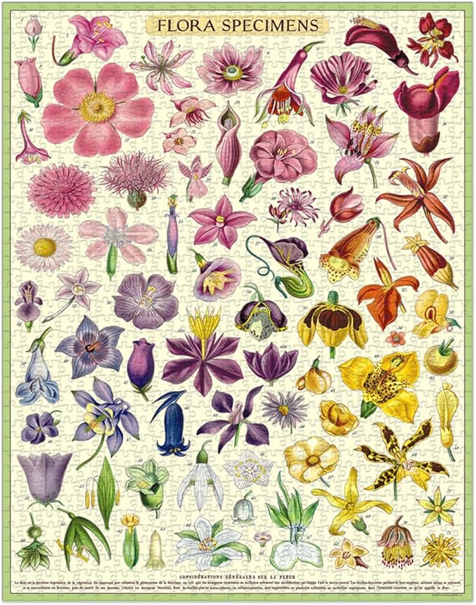 Cavallini & Co. Flora Specimens Puzzle- 1000 Pieces