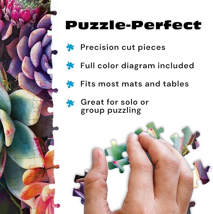 Buffalo Games - Simple Succulent - James Mertke - 1000 Piece Jigsaw Puzzle for Adults - Challenging Puzzle for Game Nights - Vibrant Plant Artwork - Finished Size 26.75 x 19.75 - Made in the USA