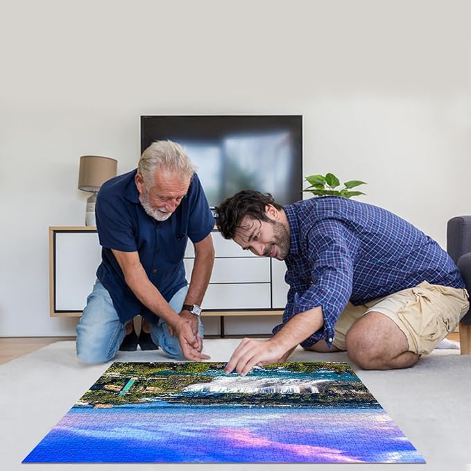 Jigsaw Puzzles for Adults 1000 Piece Puzzle for Adults 1000 Pieces Puzzle 1000 Pieces-Niagara Falls