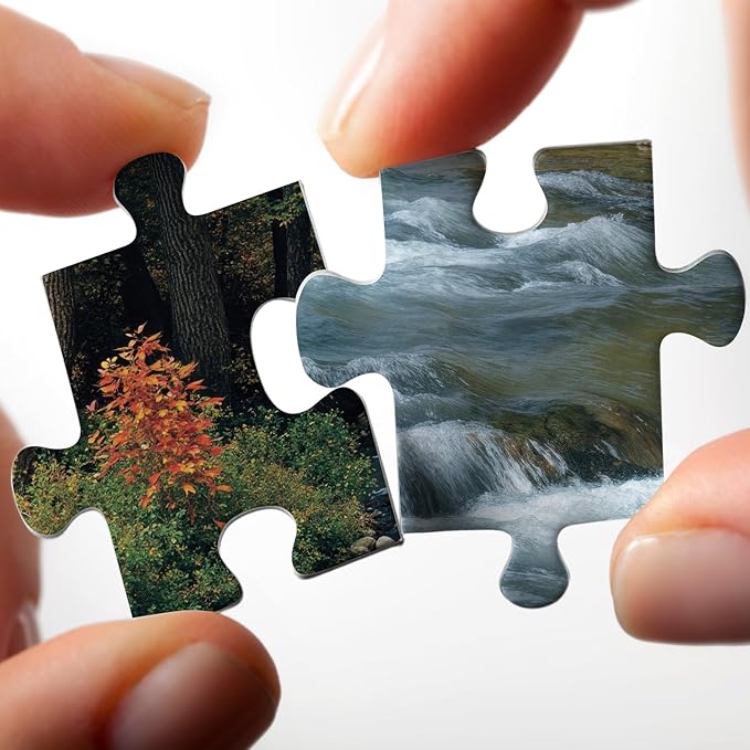 Beautiful Forest Landscape Puzzles for Adults 1000 Pieces, Aesthetic Autumn River Plant Jigsaw Puzzle, Impossible Nature Art Puzzles