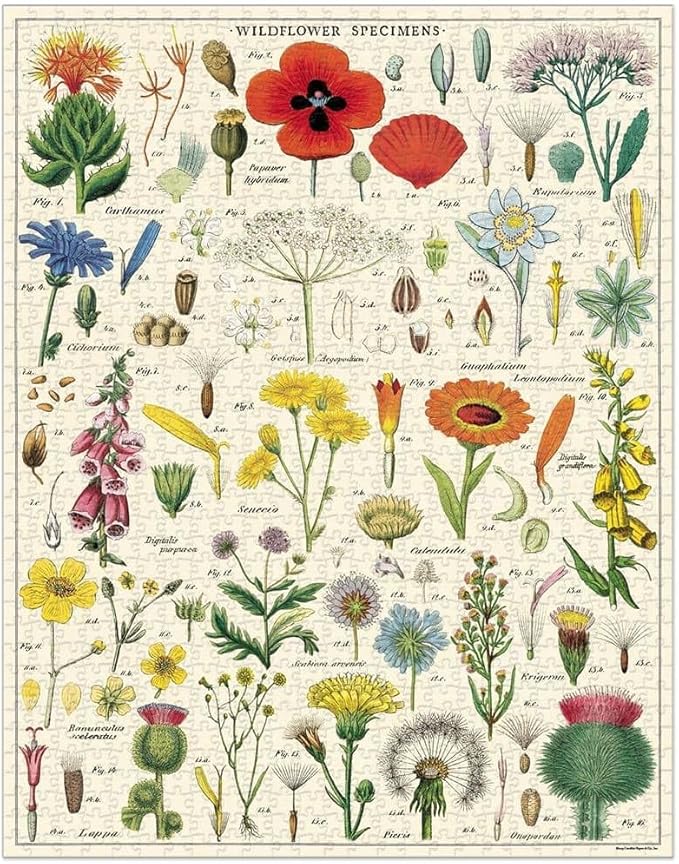 Cavallini 1000 Piece Puzzle Wildflowers