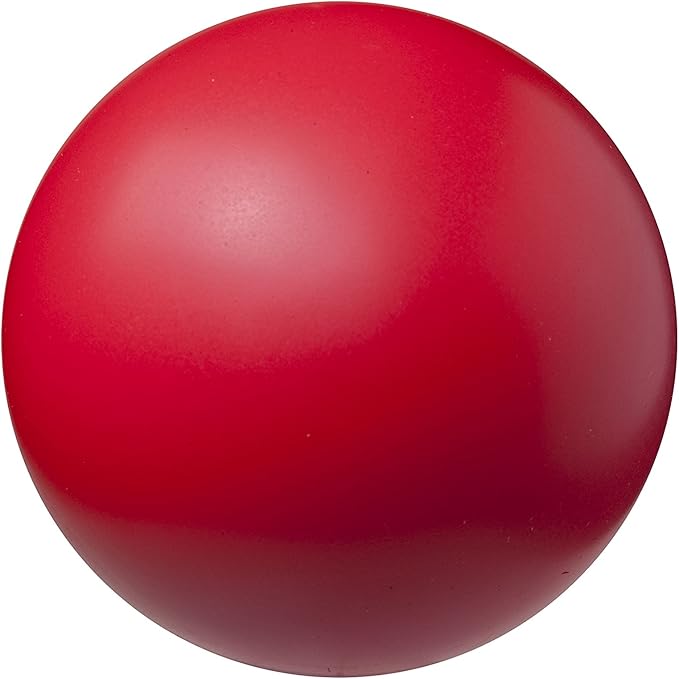 Champion Sports Coated High Density Foam Ball (8.5-Inch)