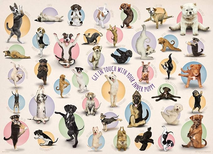 EuroGraphics Yoga Puppies 300-Piece Puzzle (Small Box), Multi