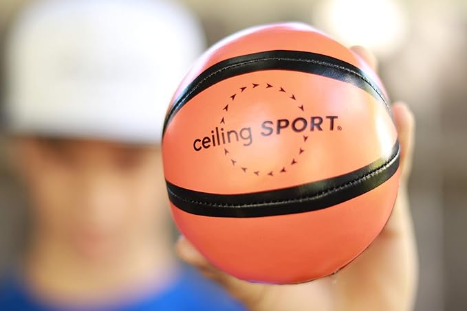 Ceiling Swish: Indoor Mini Basketball Hoop for Kids Toy Game - Includes Basketball Net Backboard and Two Mini Basketballs