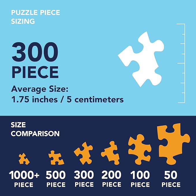 Bits and Pieces - 4-in-1 Multi-Pack 300 Piece Jigsaw Puzzles for Adults - 300 pc Large Piece America The Beautiful National Parks Puzzle Set Bundle - 16" x 20" (41cm x 51cm)