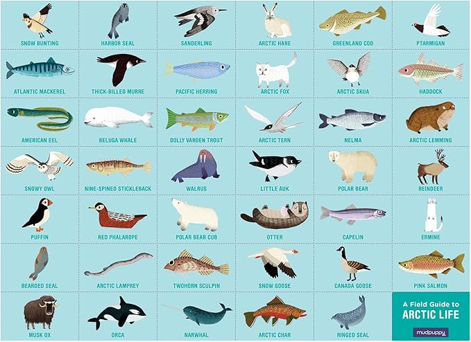 Mudpuppy Arctic Life Search & Find Puzzle, 64 Pieces, 23”x15.5” – For Kids Age 4-7 - Colorful Illustrations of Animals, Fish, Birds Living in the Arctic – Complete Puzzle to Find 40+ Hidden Images