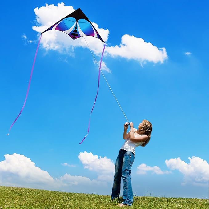 HONBO Large Delta Kite for Kids & Adults,Extremely Easy to Fly Kite for Beach Trip,String Line Included,with Colorful Tail,Perfect for Beginners