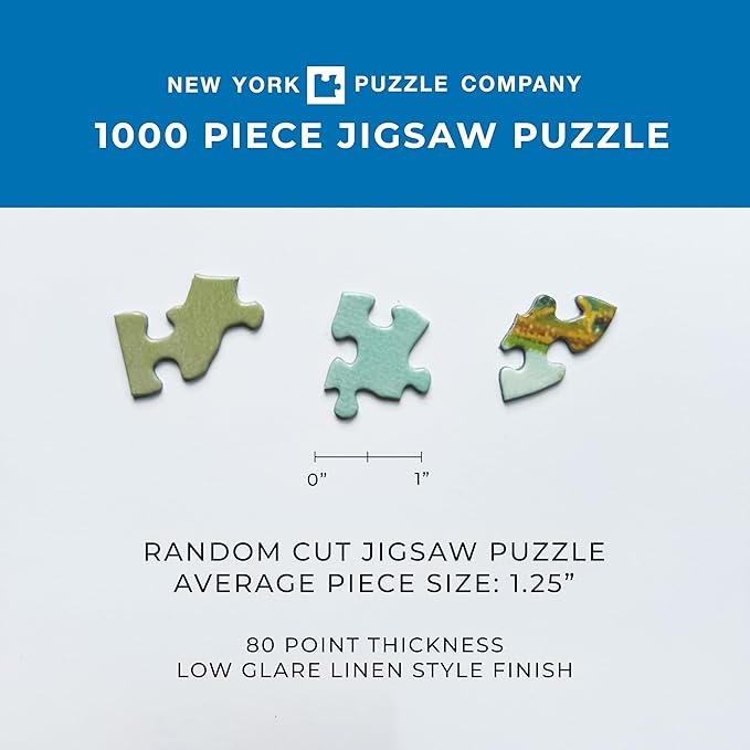 New York Puzzle Company - Harry Potter Chapter Art - 1000 Piece Jigsaw Puzzle for Adults by Mary GrandPré