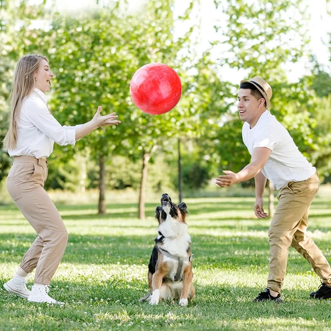 4 Pcs Playground Balls with Pump, 9 inch Inflatable Bouncy Balls for Kids, School, Beach, Kickball DodgeBalls and Indoor Outdoor Plays