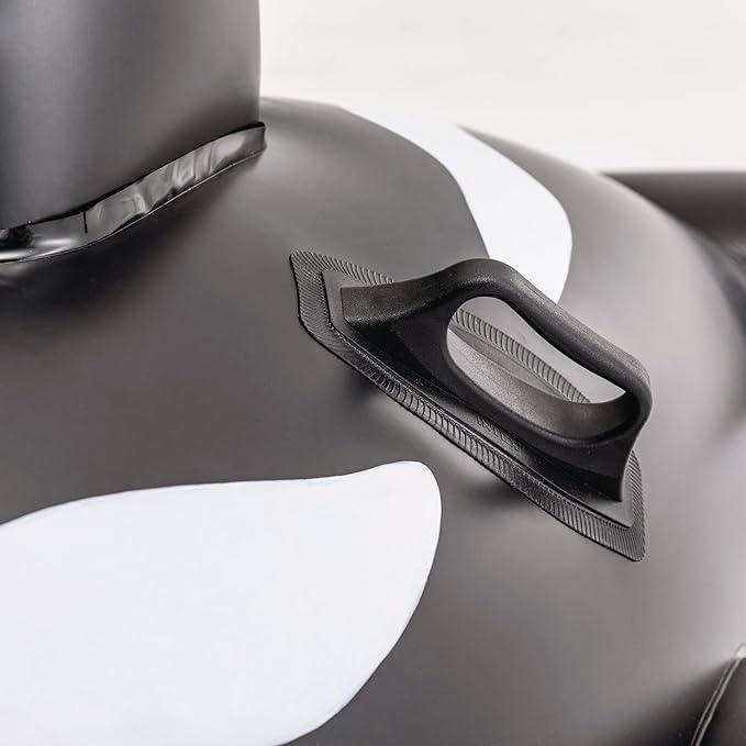 INTEX Inflatable Pool Float: Pool Toy for Kids
