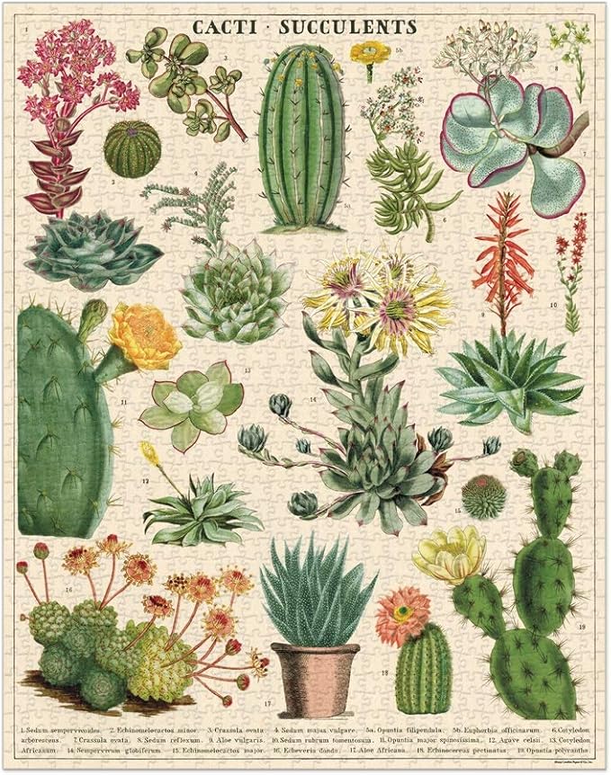 Cavallini 1000 Piece Puzzle, Cacti and Succulents (PZL/SUC)