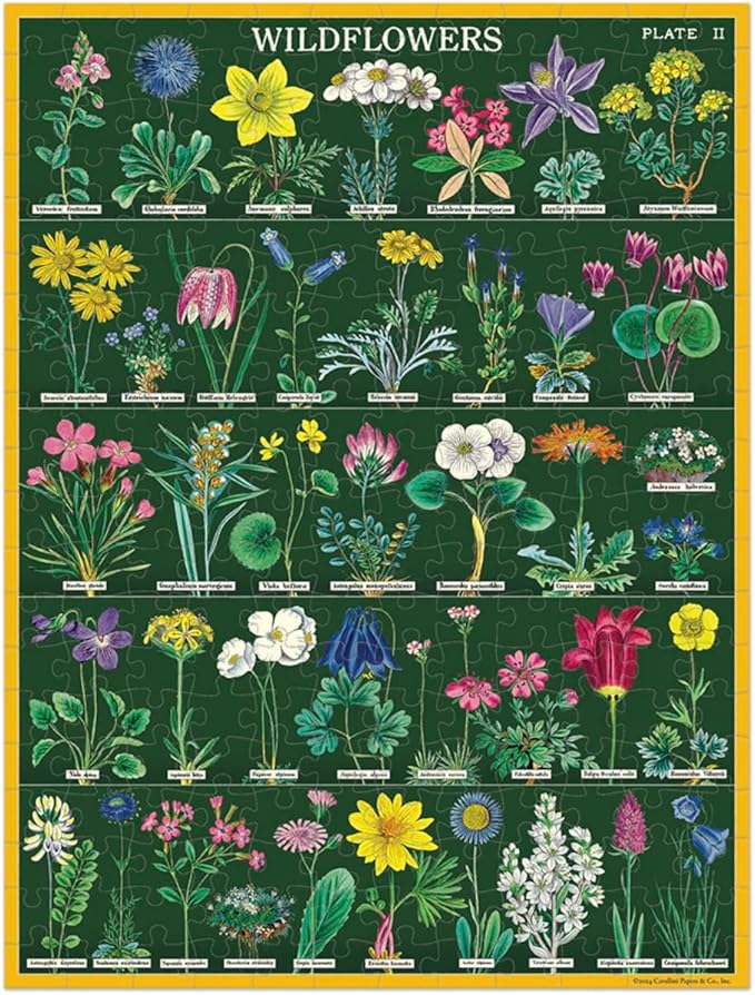 Wildflowers | 240 Piece Jigsaw Puzzle
