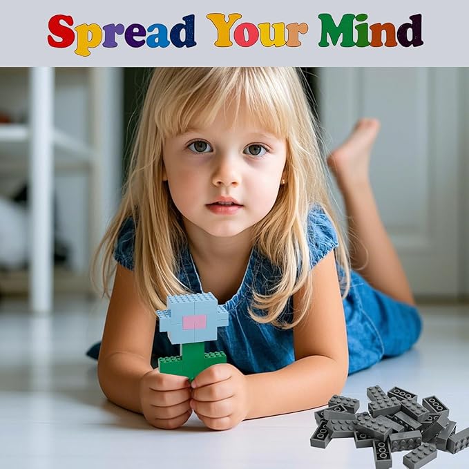 500 Piece Classic Building Bricks and 1 Gray Baseplate, 2x4 Bricks Bulk Creative Building Toys, Blocks Bulk for Kids Ages 6+, Dark Gray(Small Bricks, 1.25x0.62x0.47 in)